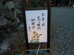 俳句行灯