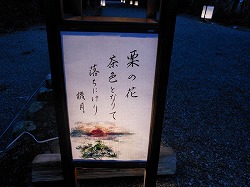 俳句行灯