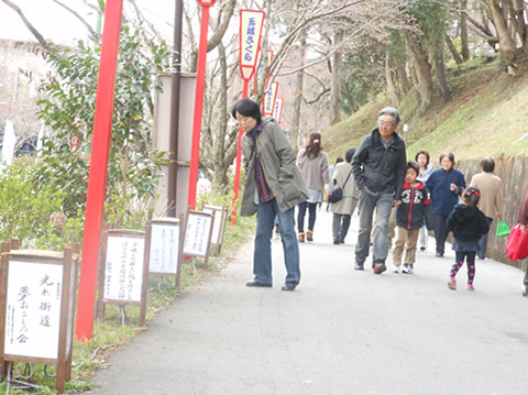 桜祭り行灯提供　玉城・飯南・松阪
