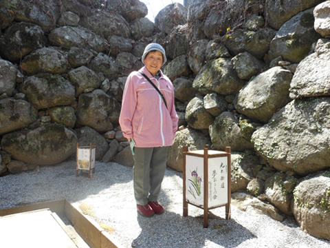桜祭り行灯提供　玉城・飯南・松阪