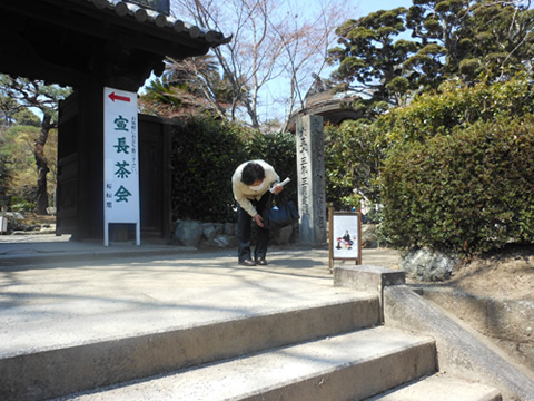 桜祭り行灯提供　玉城・飯南・松阪