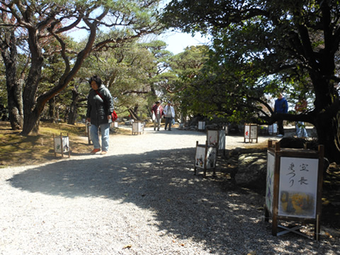 桜祭り行灯提供　玉城・飯南・松阪