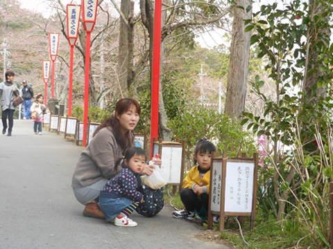 桜祭り行灯提供　玉城・飯南・松阪