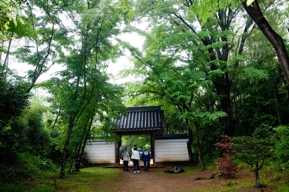 円光寺 行灯点灯