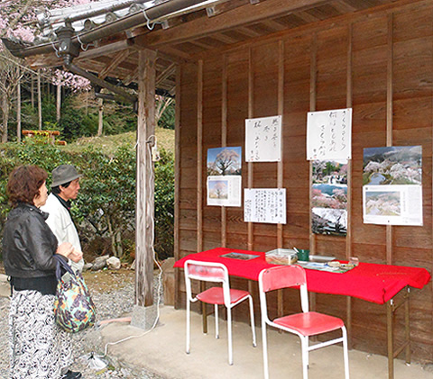 飯南粥見町桜まつり行灯提供